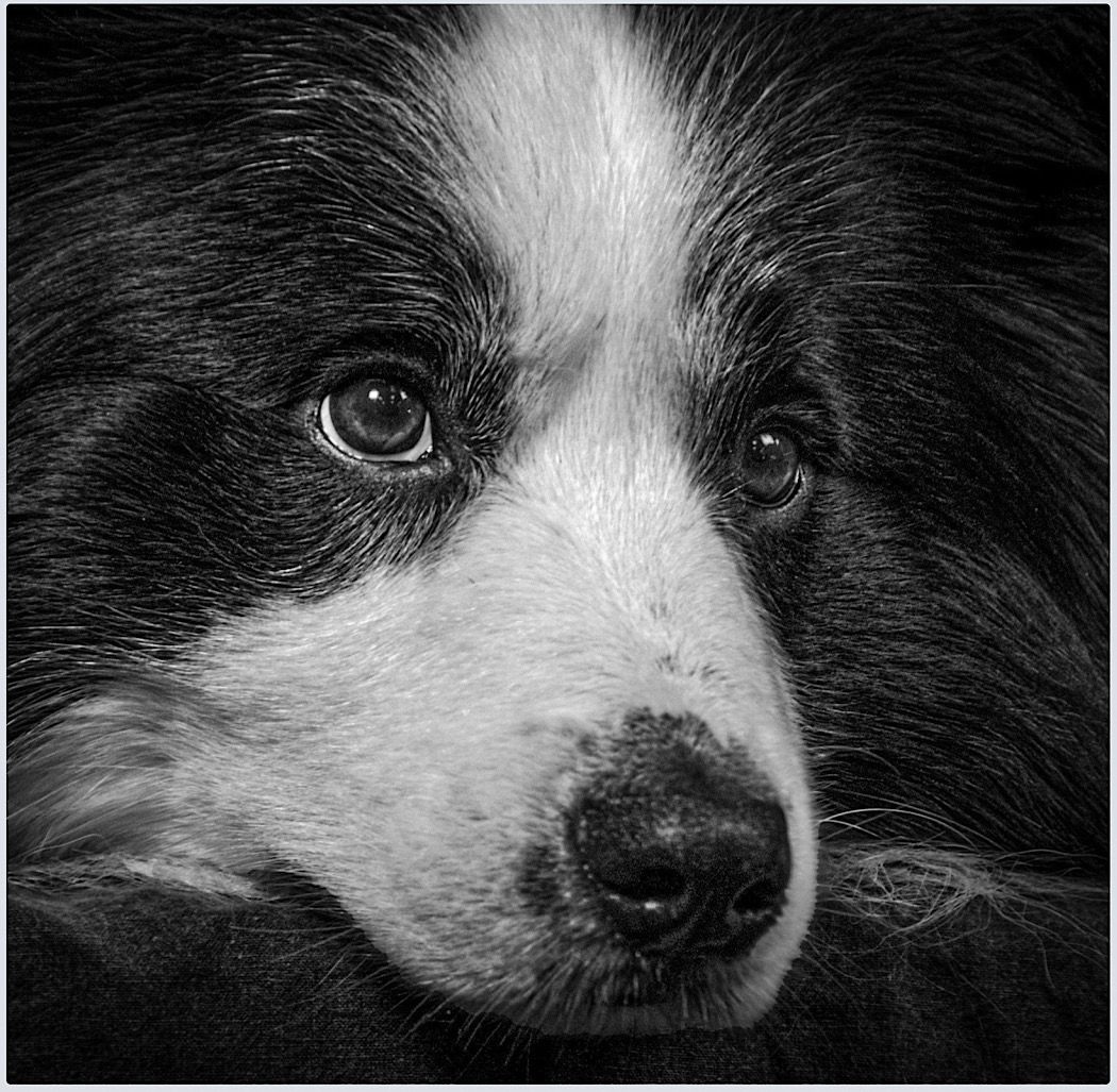 Traditional In Class A By Helen Pappas For Contentment SEP-2022.jpg